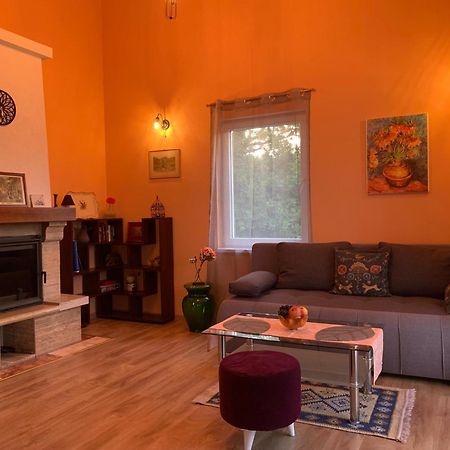 Patrick House Villa Tivat Exterior photo